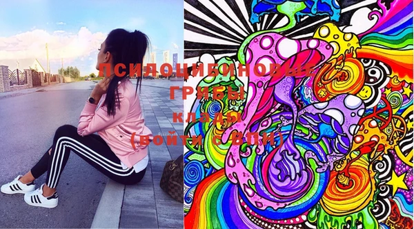 spice Протвино